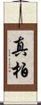 真柏 Scroll