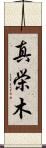 真栄木 Scroll