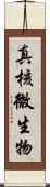 真核微生物 Scroll