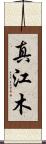 真江木 Scroll