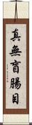 真無盲腸目 Scroll
