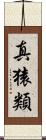 真猿類 Scroll