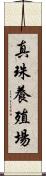 真珠養殖場 Scroll