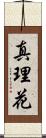 真理花 Scroll