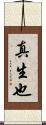 真生也 Scroll