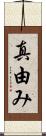 真由み Scroll
