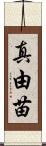 真由苗 Scroll
