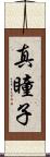 真瞳子 Scroll