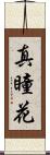 真瞳花 Scroll