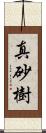真砂樹 Scroll