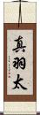 真羽太 Scroll