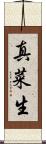 真菜生 Scroll