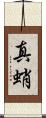 真蛸 Scroll