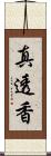 真透香 Scroll