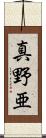 真野亜 Scroll