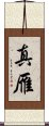 真雁 Scroll