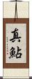 真鮎 Scroll