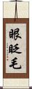 眼眨毛 Scroll
