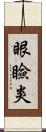 眼瞼炎 Scroll