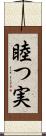 睦つ実 Scroll