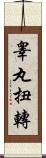 睾丸扭轉 Scroll