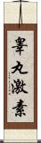 睾丸激素 Scroll