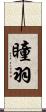 瞳羽 Scroll