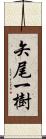 矢尾一樹 Scroll