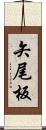 矢尾板 Scroll