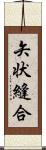 矢状縫合 Scroll