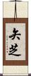矢芝 Scroll