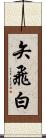 矢飛白 Scroll