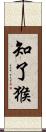 知了猴 Scroll