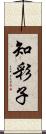 知彩子 Scroll