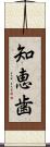 知恵歯 Scroll