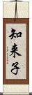 知来子 Scroll