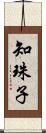 知珠子 Scroll