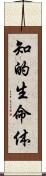 知的生命体 Scroll