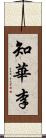 知華李 Scroll