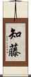 知藤 Scroll