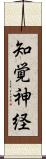 知覚神経 Scroll