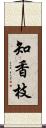 知香枝 Scroll