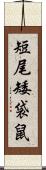 短尾矮袋鼠 Scroll