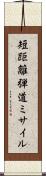 短距離弾道ミサイル Scroll