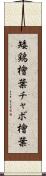 矮鶏檜葉 Scroll