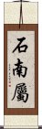 石南屬 Scroll