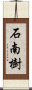 石南樹 Scroll