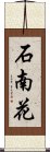 石南花 Scroll