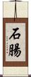 石腸 Scroll