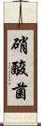 硝酸菌 Scroll